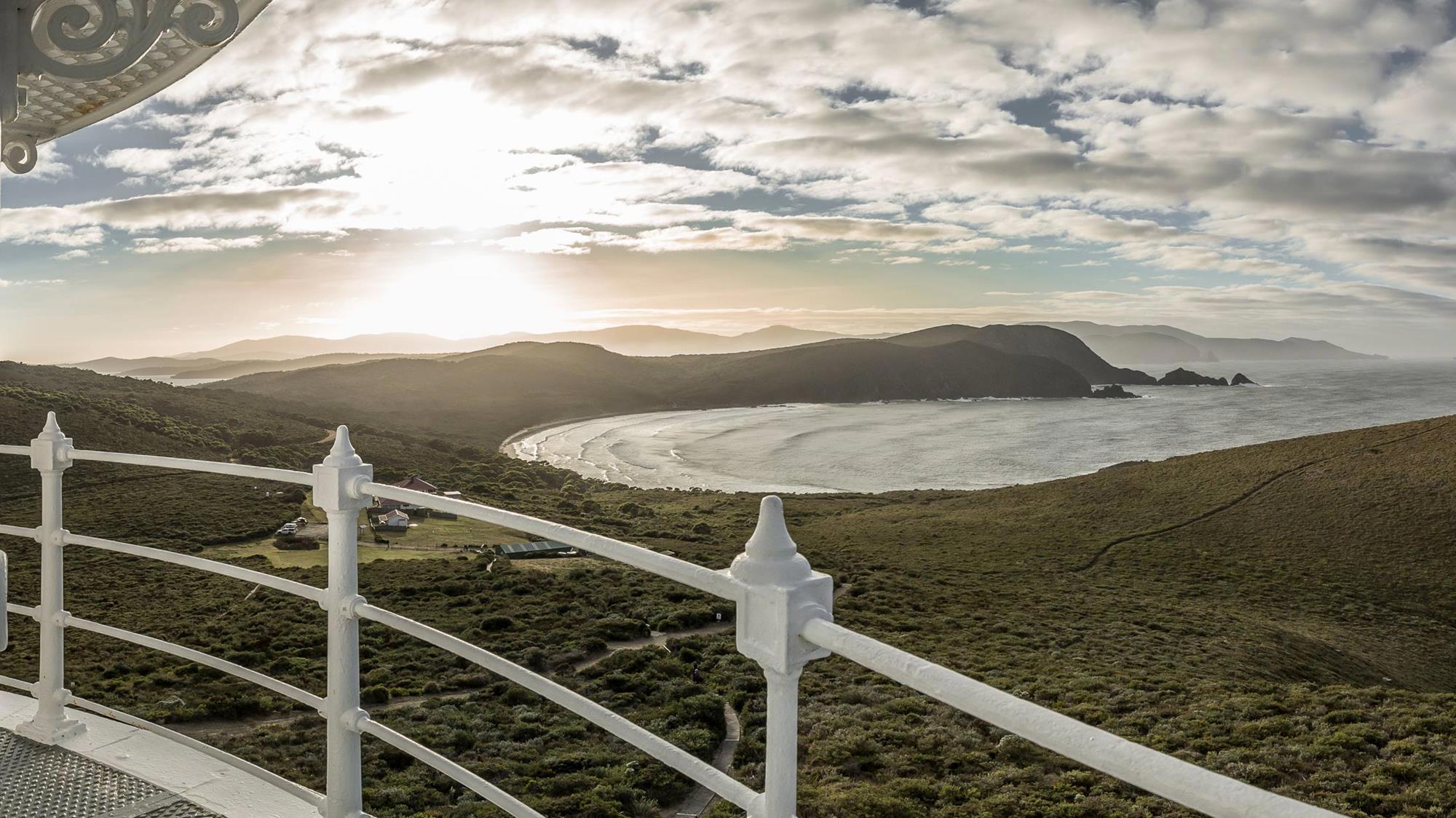 Focus on the Wild: 10-Day Tasmania Photography Tour
