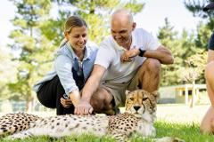 Meet-a-Cheetah