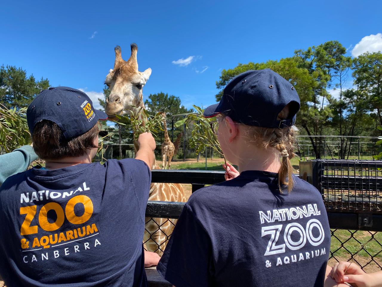 Junior Zoo Keeper Secondary National Zoo & Aquarium Reservations