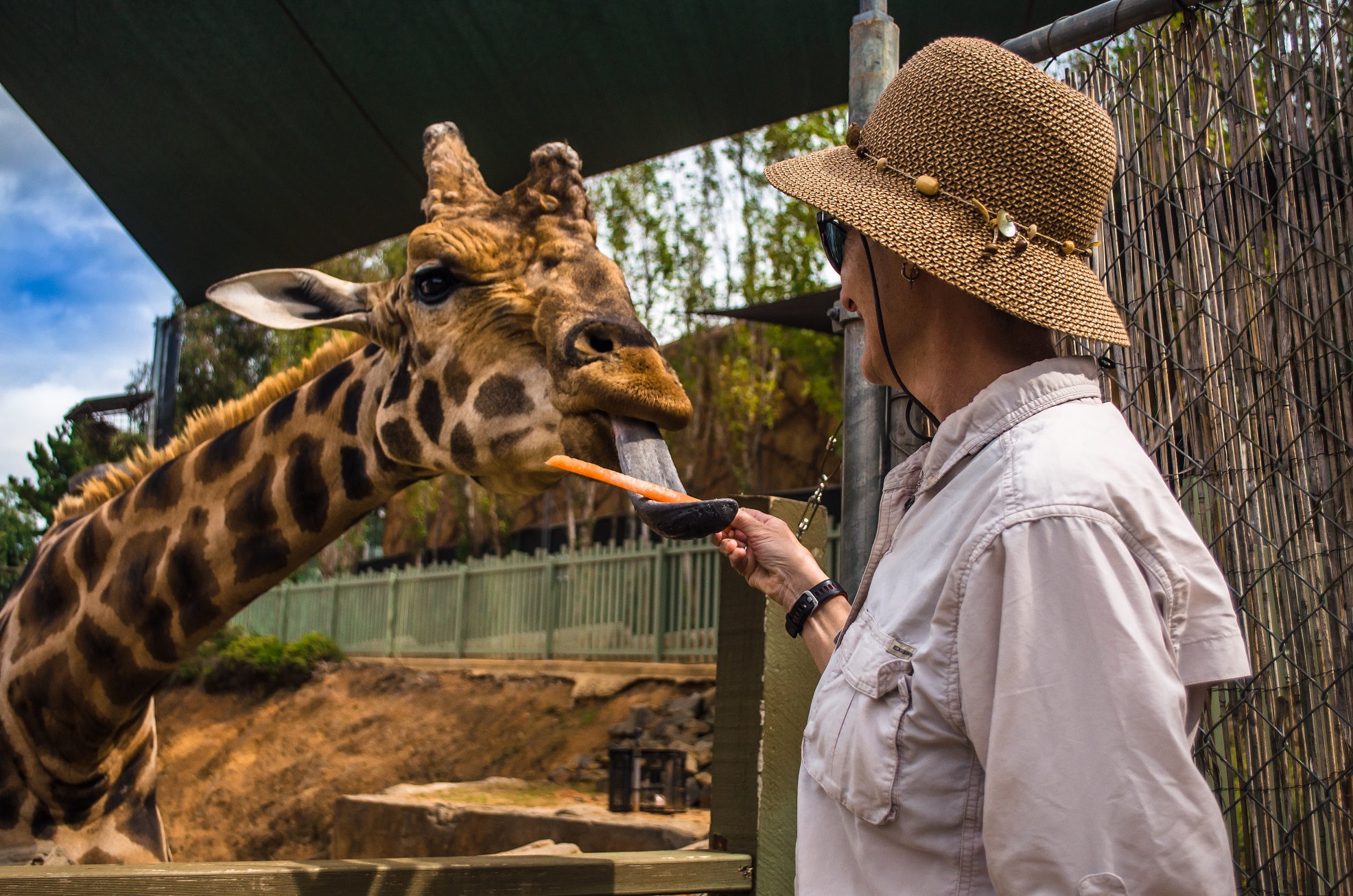 Wonders of Wildlife (WOW) National Zoo & Aquarium Reservations