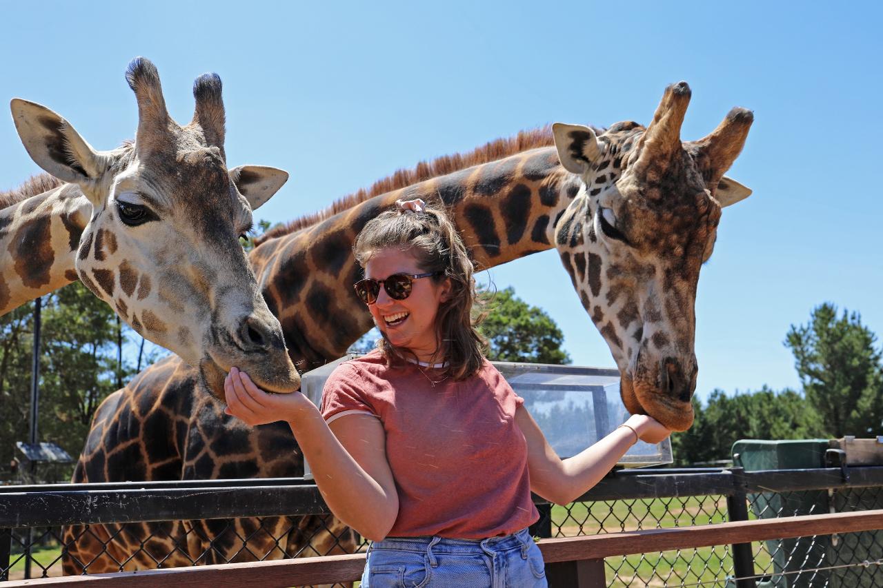 safari near savannah ga