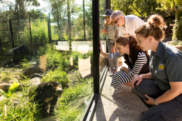 20th Birthday Zoo Tour