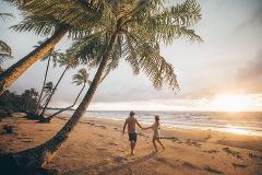 Autopia Tours: 7 Day Brisbane to Cairns Whitsundays Great Barrier Reef Comfort Tour (Private Single)