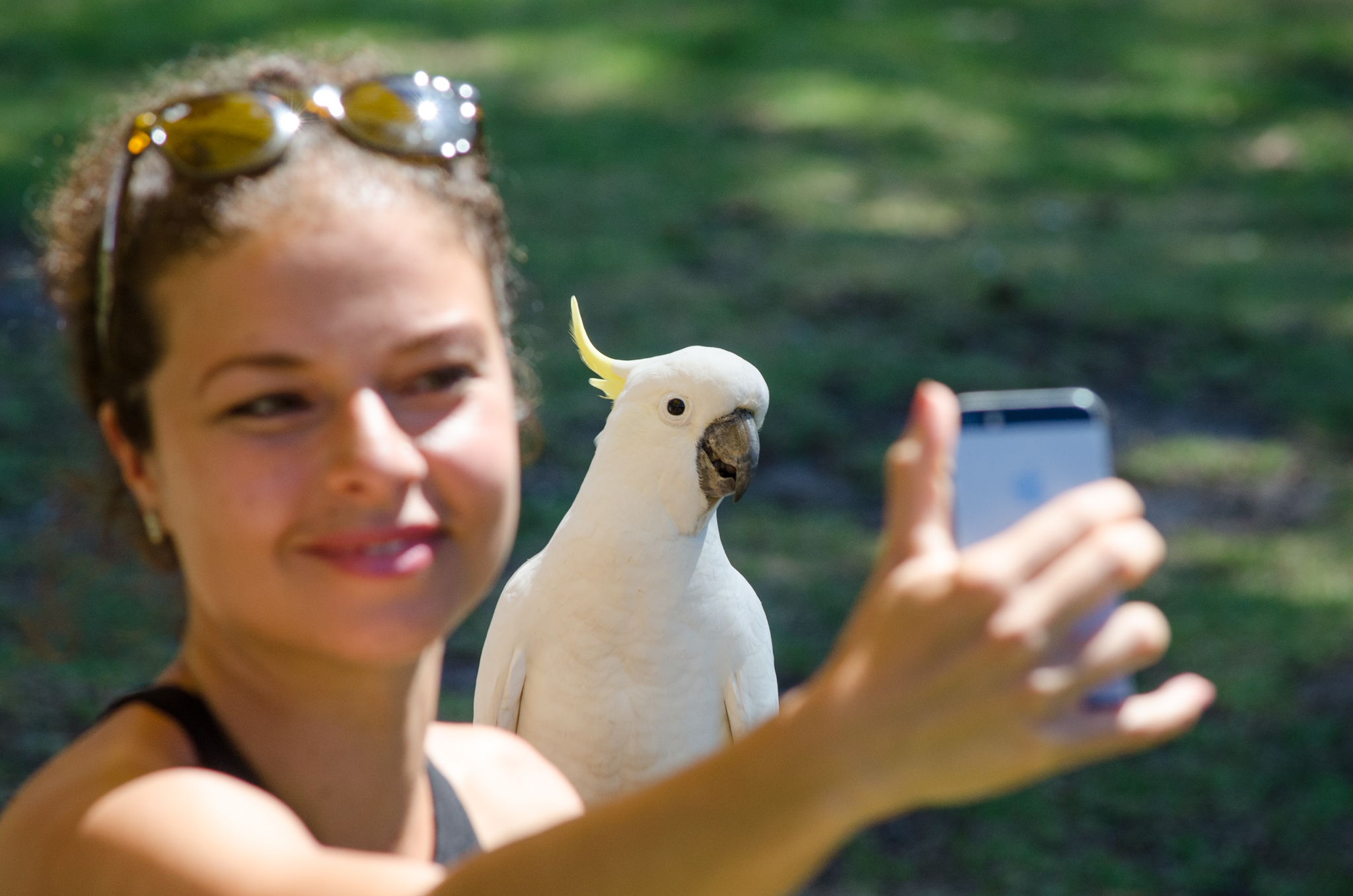 Autopia Tours: Melbourne to Adelaide 2 Day (Double/Twin Share)