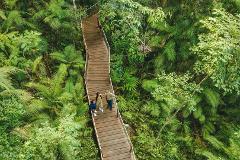 Autopia Tours: 3 Day Cairns to Daintree Cape Tribulation Port Douglas Comfort Tour (Private Double/Twin)