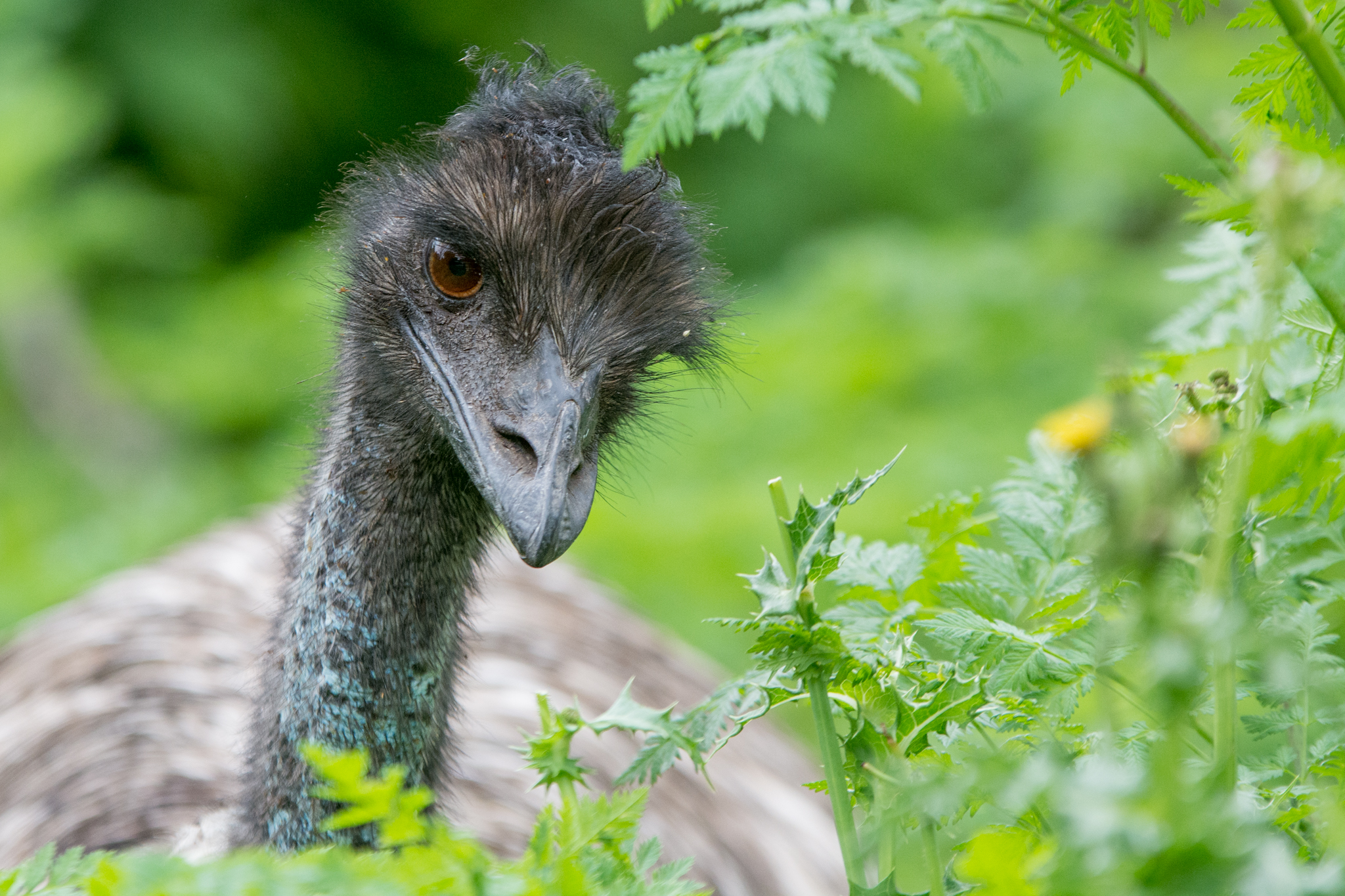 2-Day Great Ocean Road to Grampians (Standard Double/Twin Room) | All National Park Entrance Fees | Air-conditioned Small Group Travel