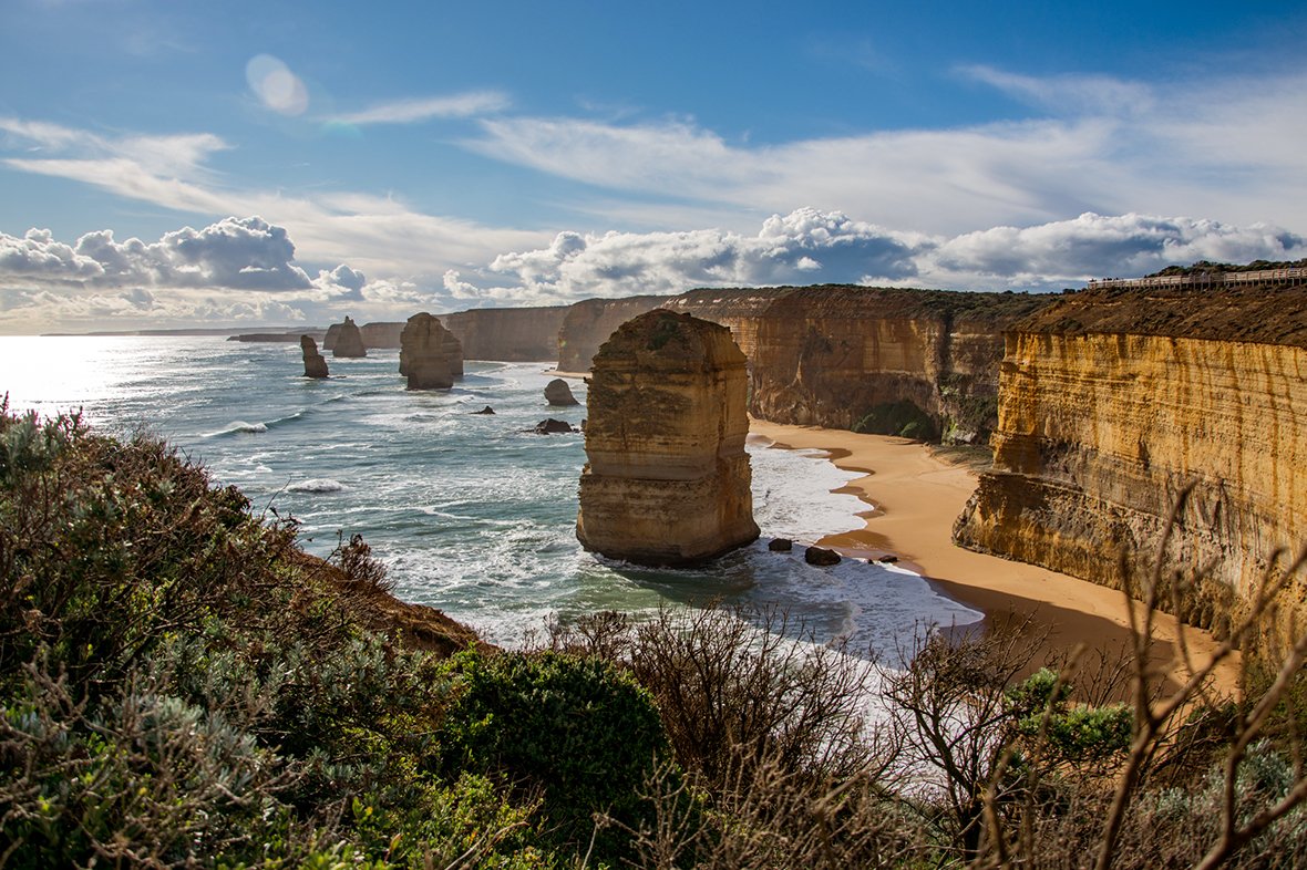 Eco-conscious Great Ocean Road Tour (Reverse) | 12 Apostles Shipwreck coast Without The Crowds