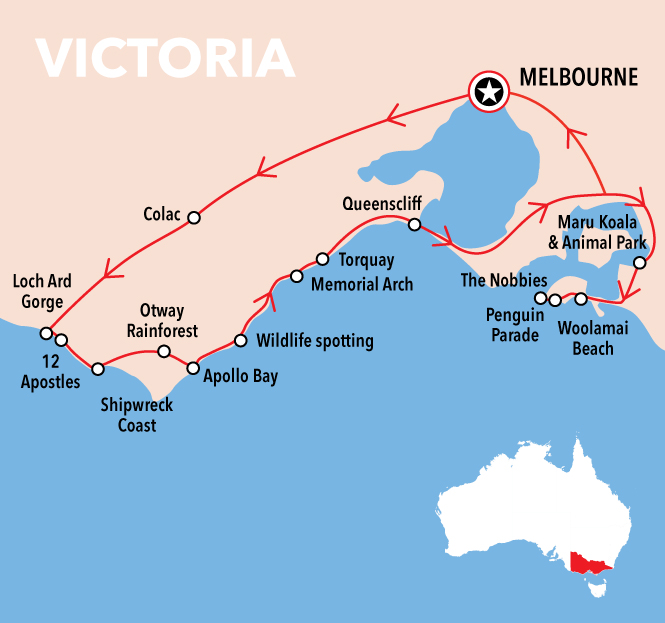 Autopia Tours: Great Ocean Road to Phillip Island 2 Day - Basic Dormitory Share