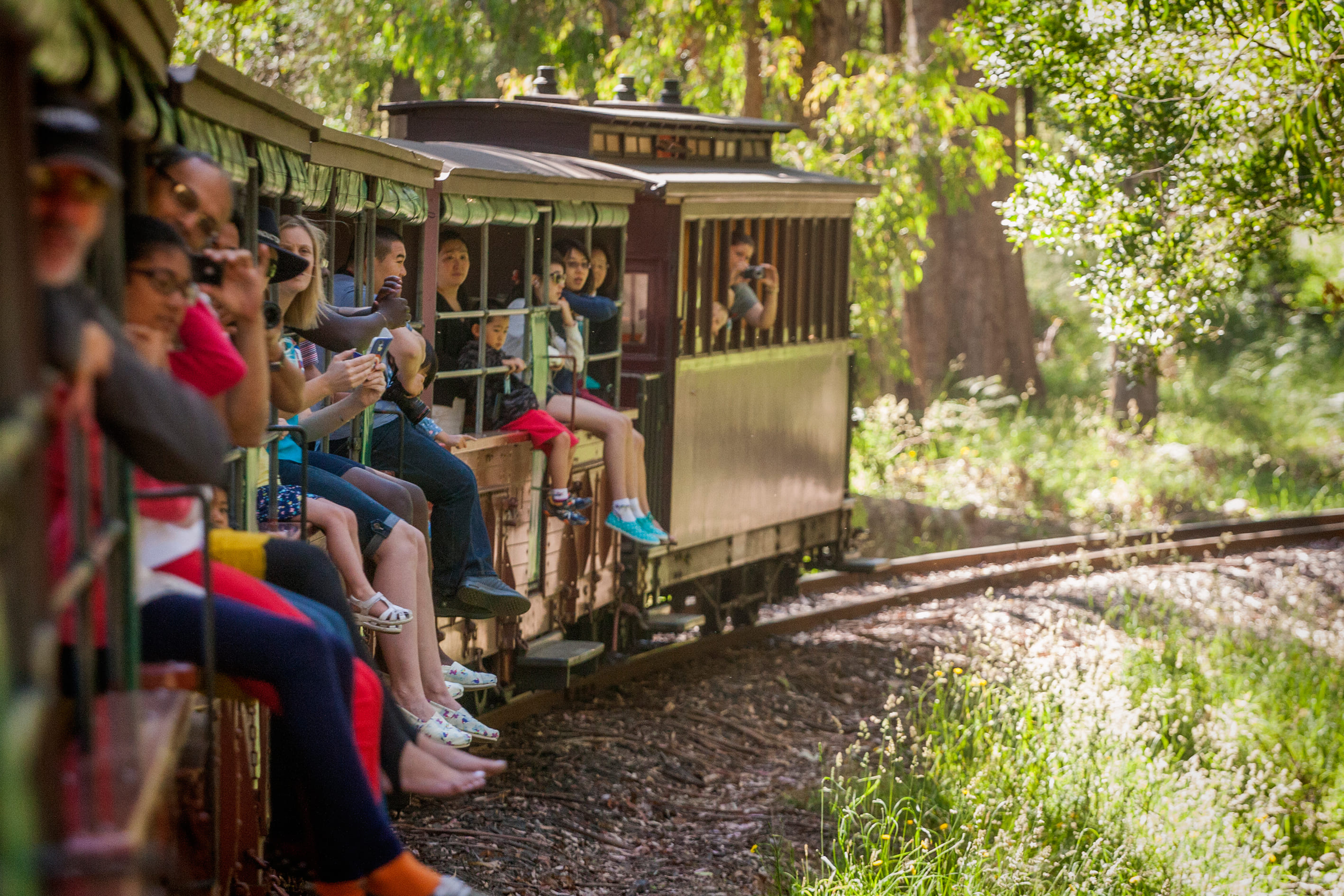 1-Day Puffing Billy Steam Train & Healesville Wildlife Sanctuary Tour: Puffing Billy 1-Hour Train Excursion | Admission into Healesville Sanctuary Wildlife Park | 
