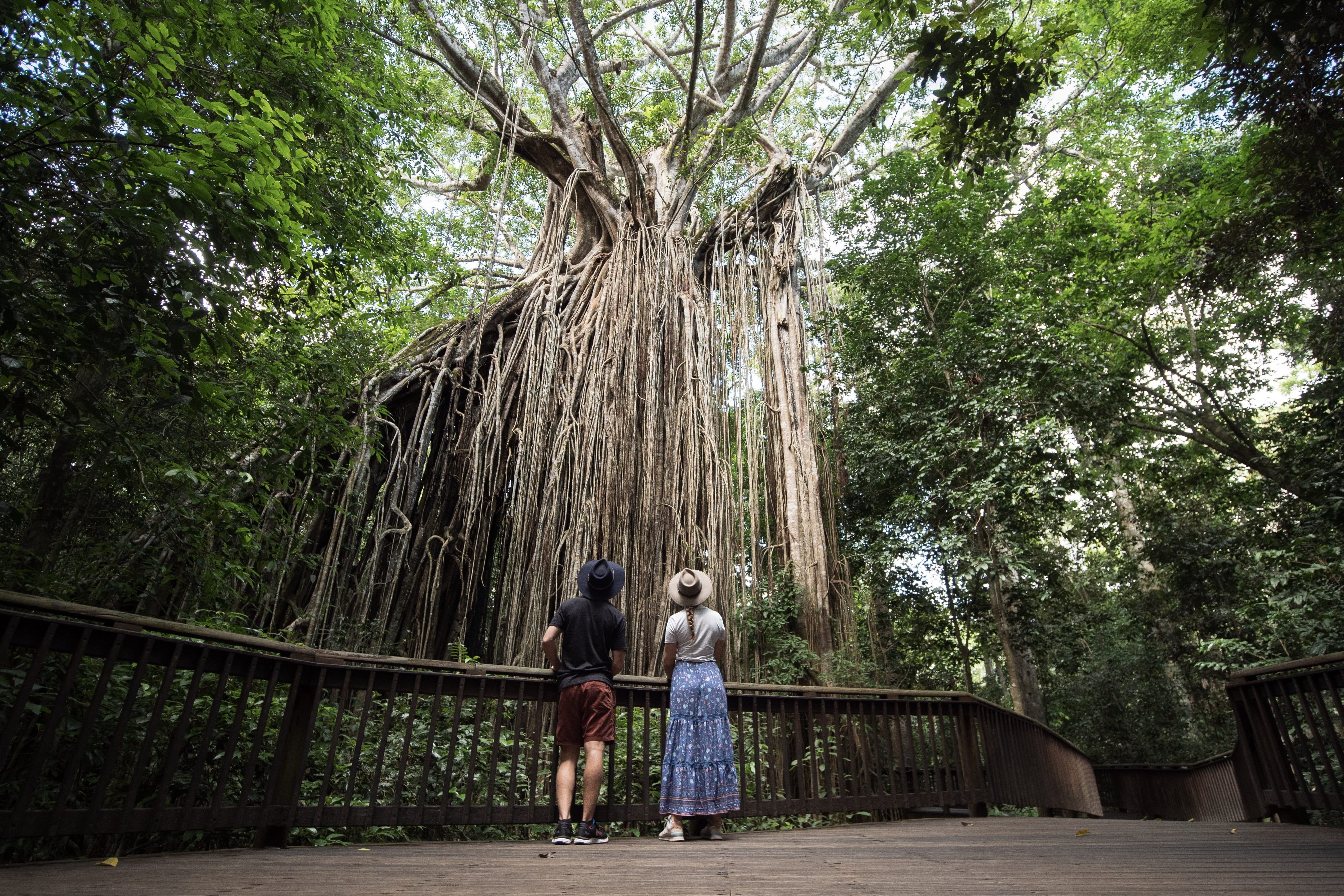 Autopia Tours: 7 Day Brisbane to Cairns Whitsundays Great Barrier Reef Comfort Tour (Twin Share)