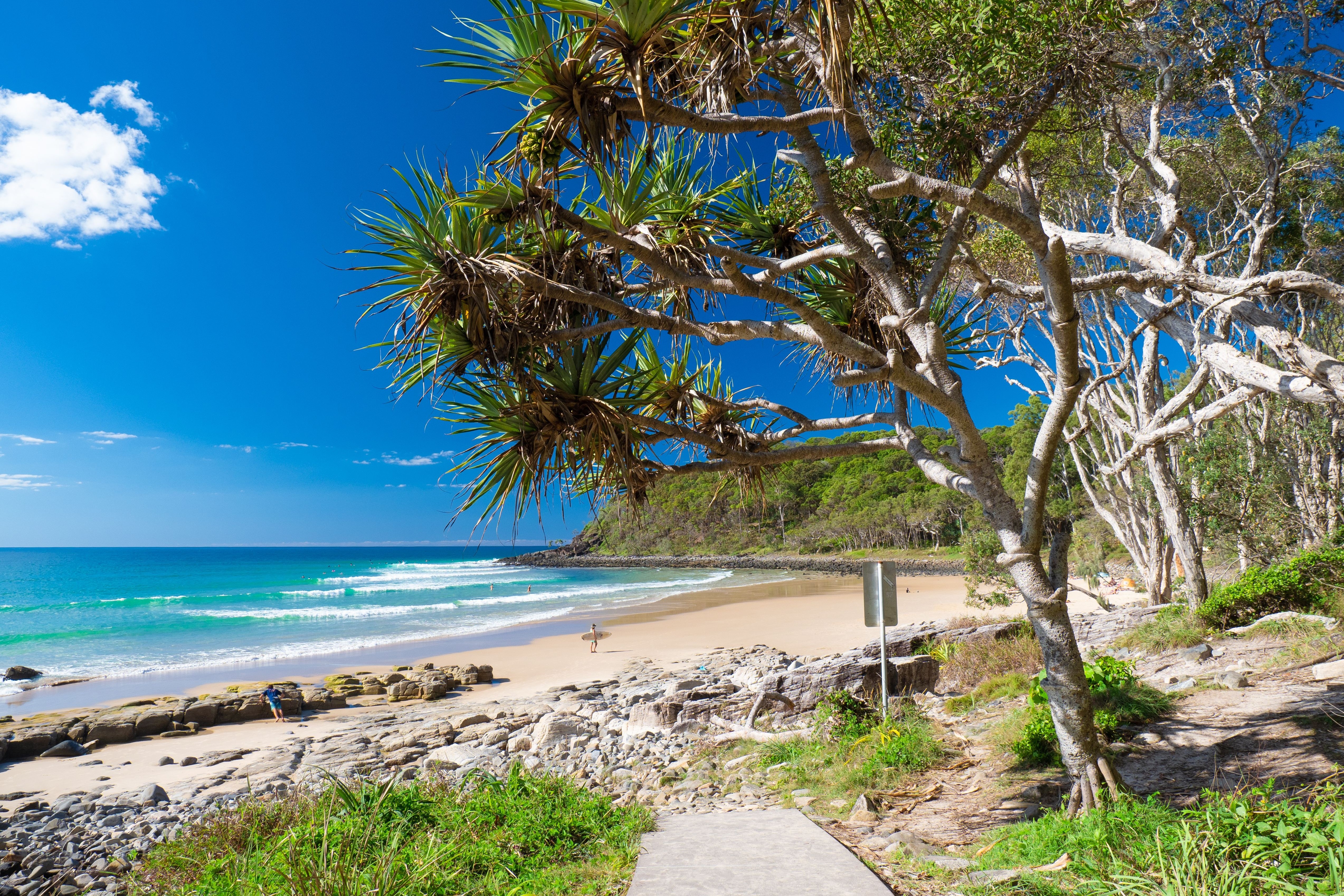 Autopia Tours: 7 Day Brisbane to Cairns Whitsundays Great Barrier Reef Comfort Tour (Twin Share)