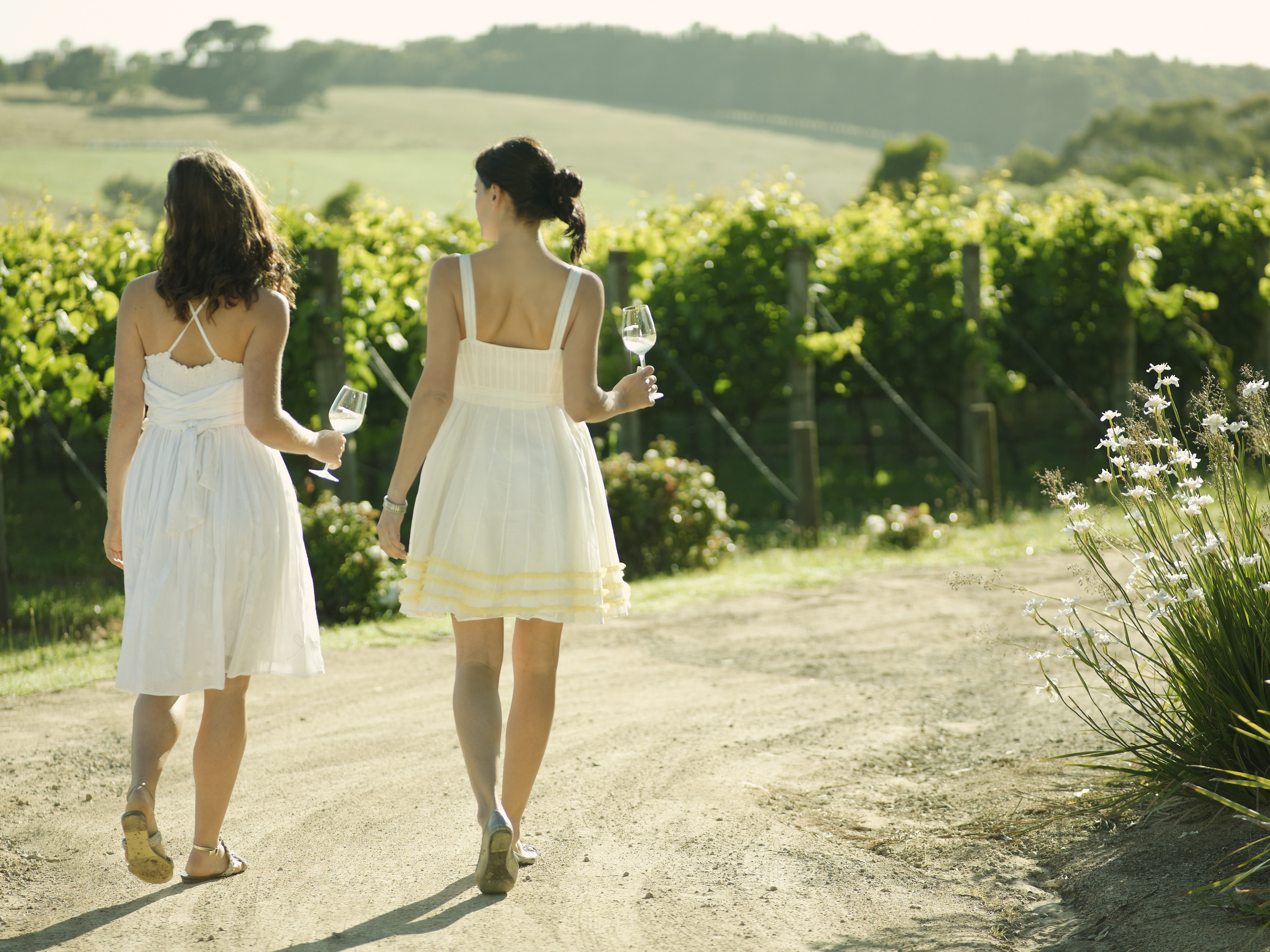 Discover the Yarra Valley Wine Tasting Tours | Explore The Heart of The Yarra Valley | Air-conditioned Mini-coach Travel