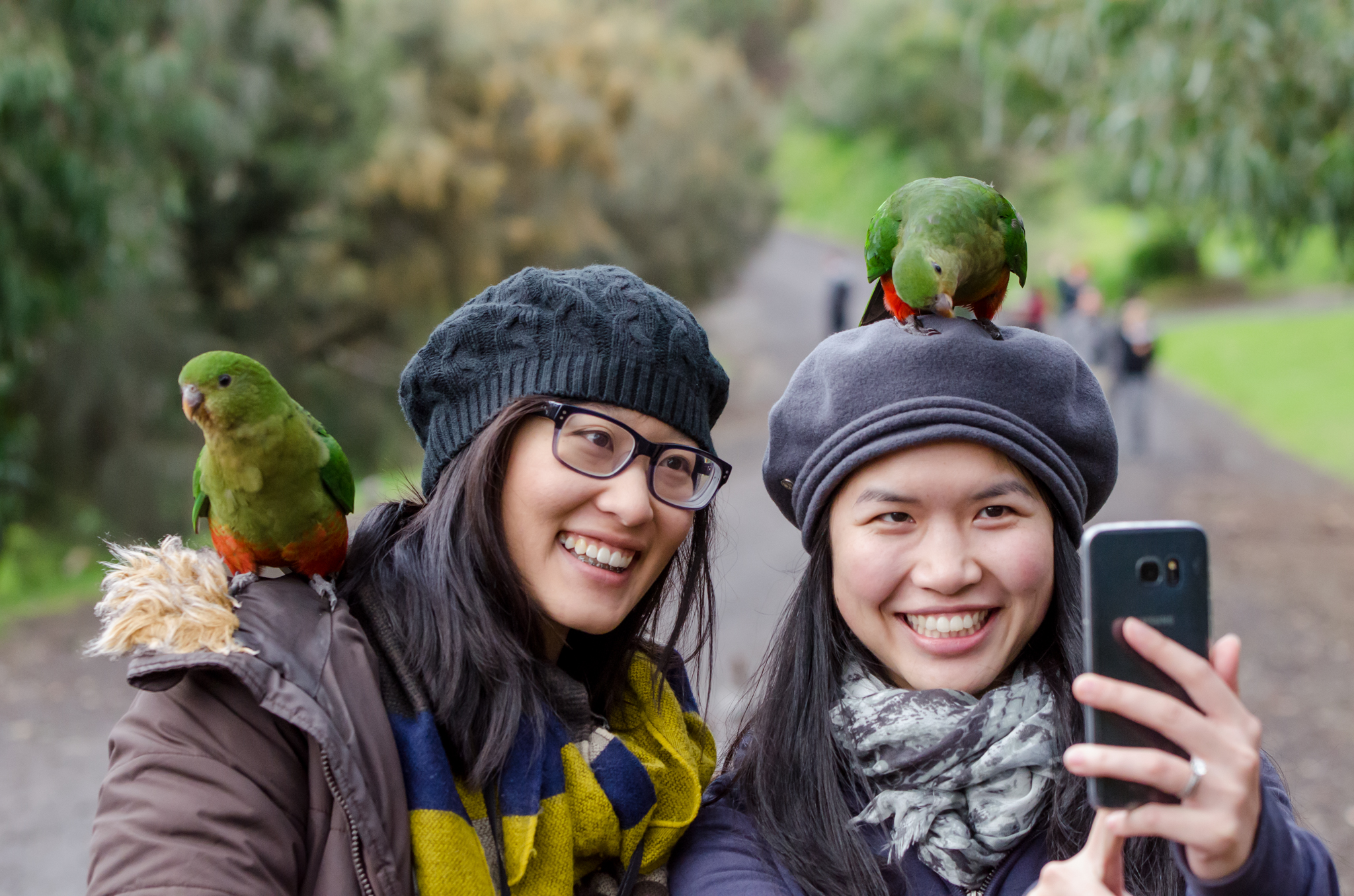 2-Day Great Ocean Road to Grampians (Basic Dorm Share) | National Park Entry Fees | Air-conditioned Small Group Travel