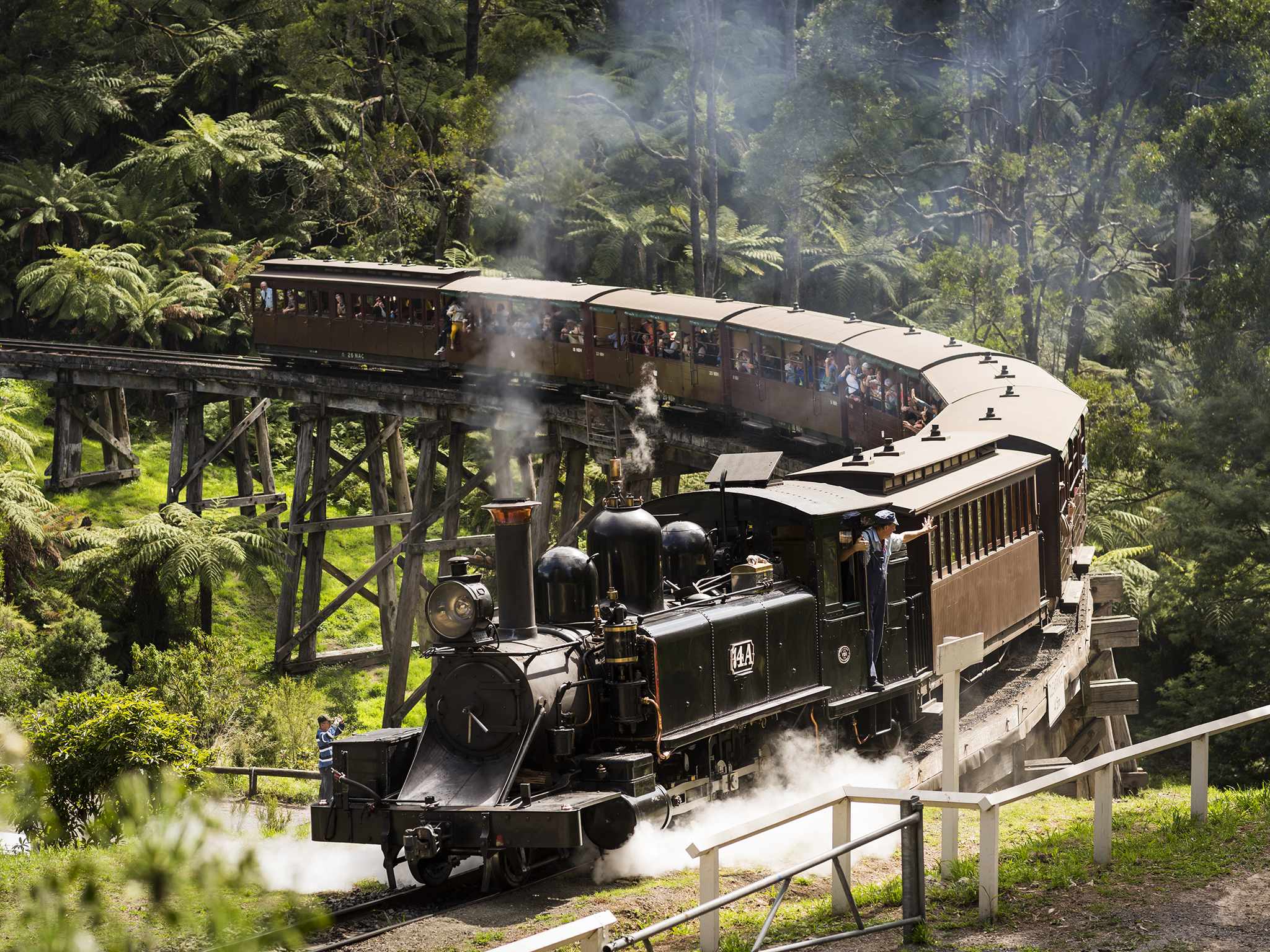 1-Day Puffing Billy Steam Train & Yarra Valley Wine Tour: Puffing Billy 1-Hour Train Excursion | Yarra Valley Chocolaterie | 