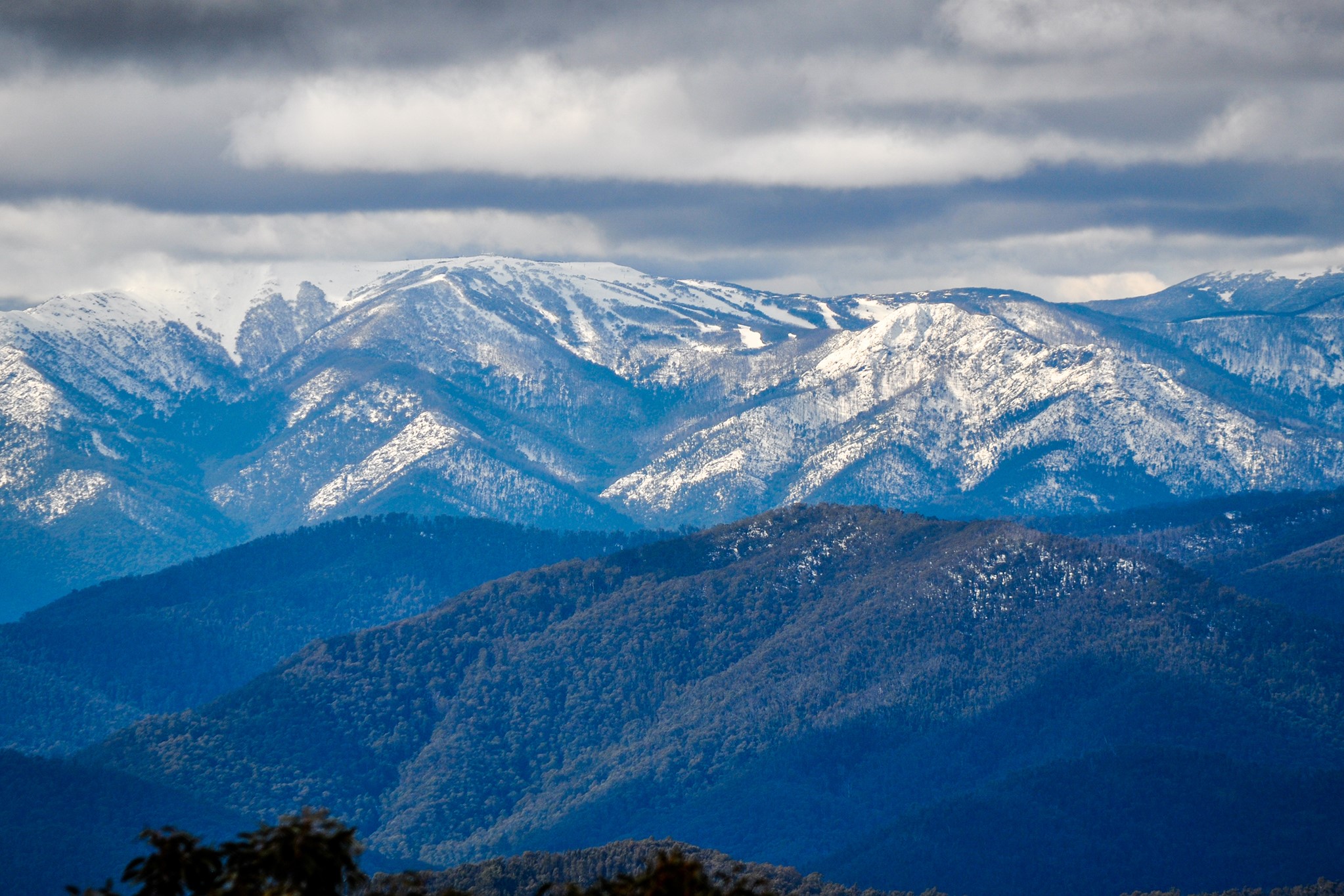  Lake Mountain Snow, Waterfalls & ChocolateTour | The Best Day Trip Tour for Families and First Timers