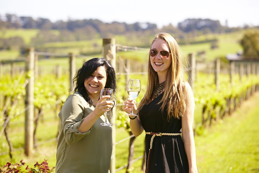 Discover the Yarra Valley Wine Tasting Tours | Explore The Heart of The Yarra Valley | Air-conditioned Mini-coach Travel