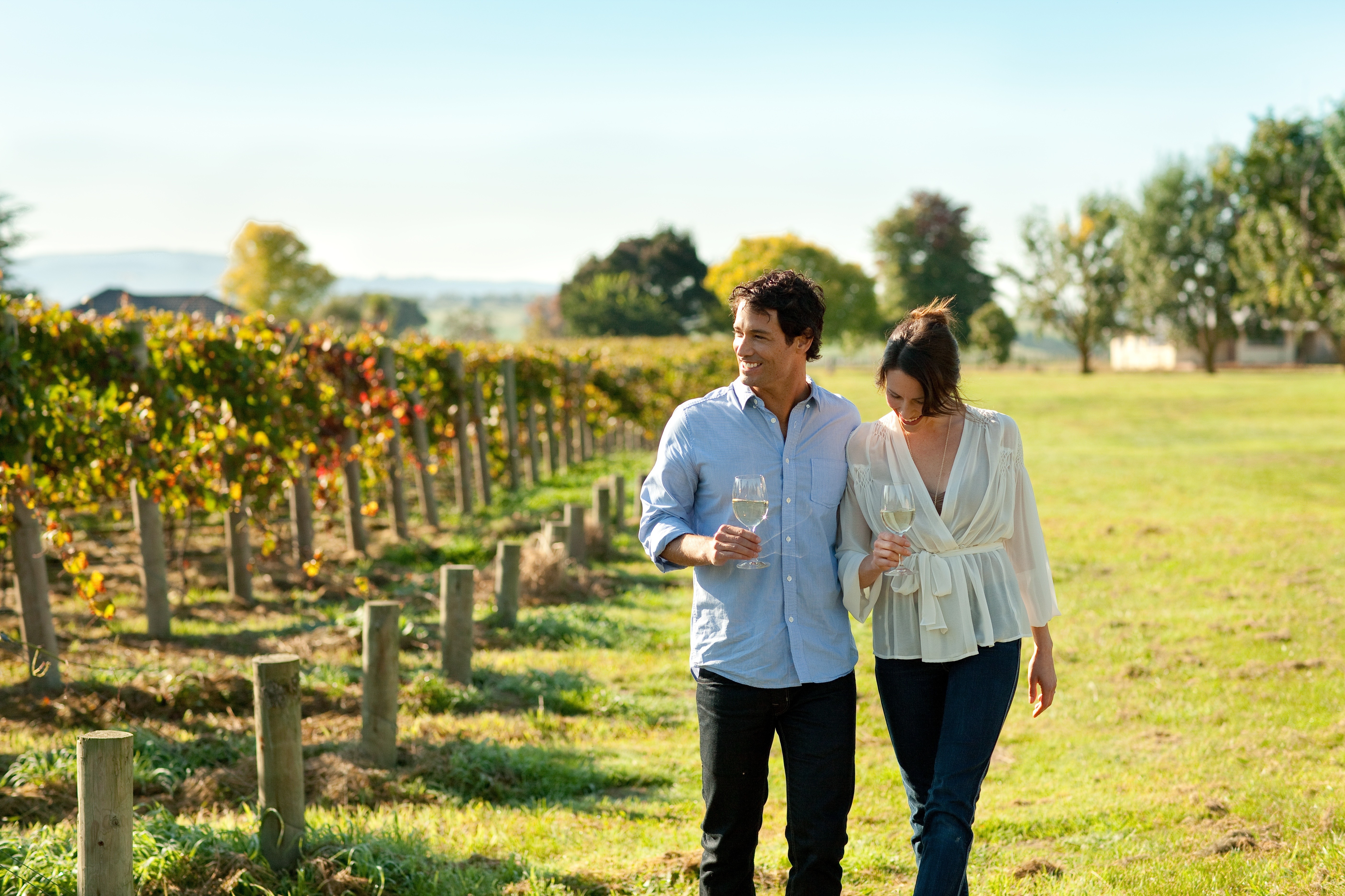 Discover the Yarra Valley Wine Tasting Tours | Explore The Heart of The Yarra Valley | Air-conditioned Mini-coach Travel