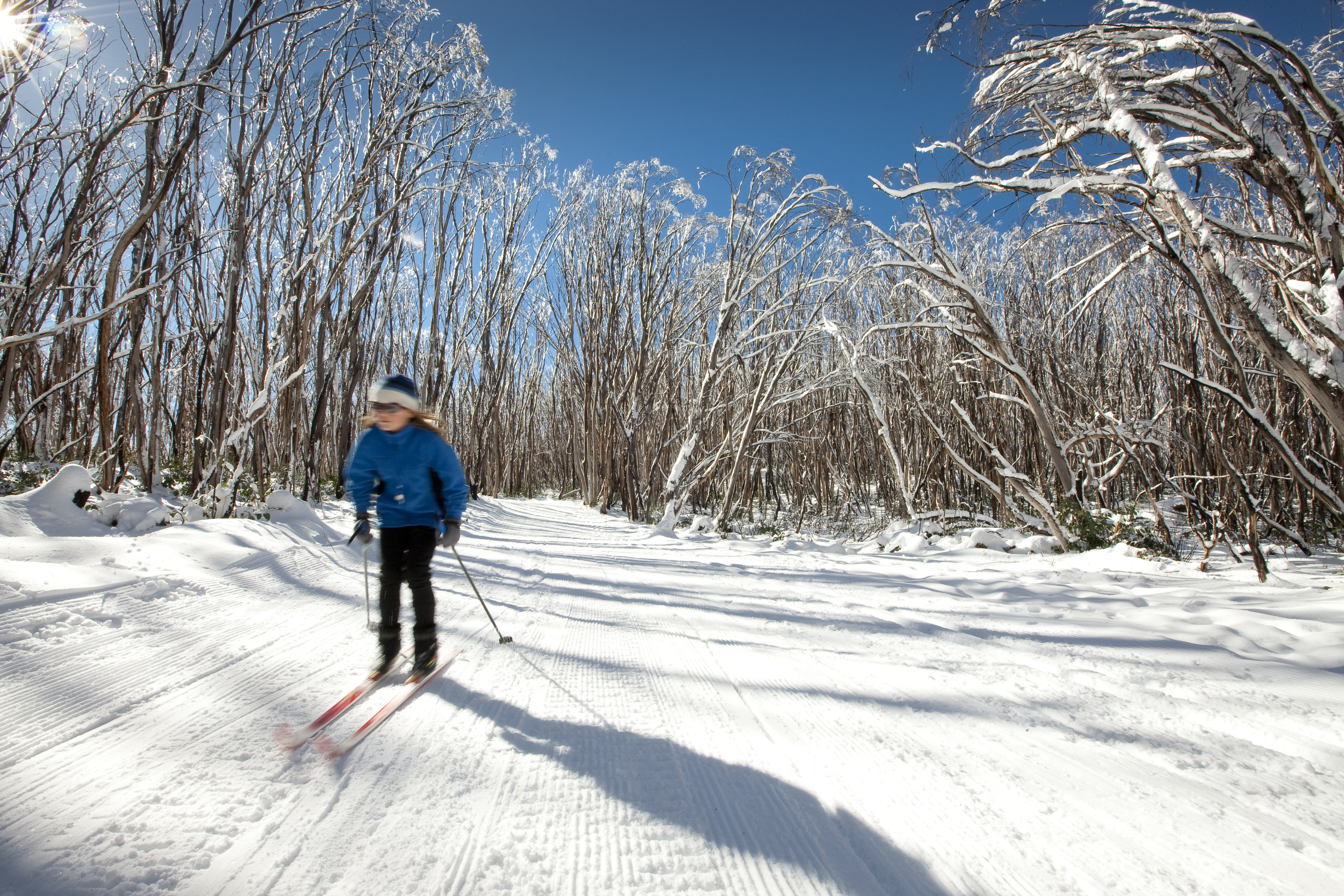  Lake Mountain Snow, Waterfalls & ChocolateTour | The Best Day Trip Tour for Families and First Timers