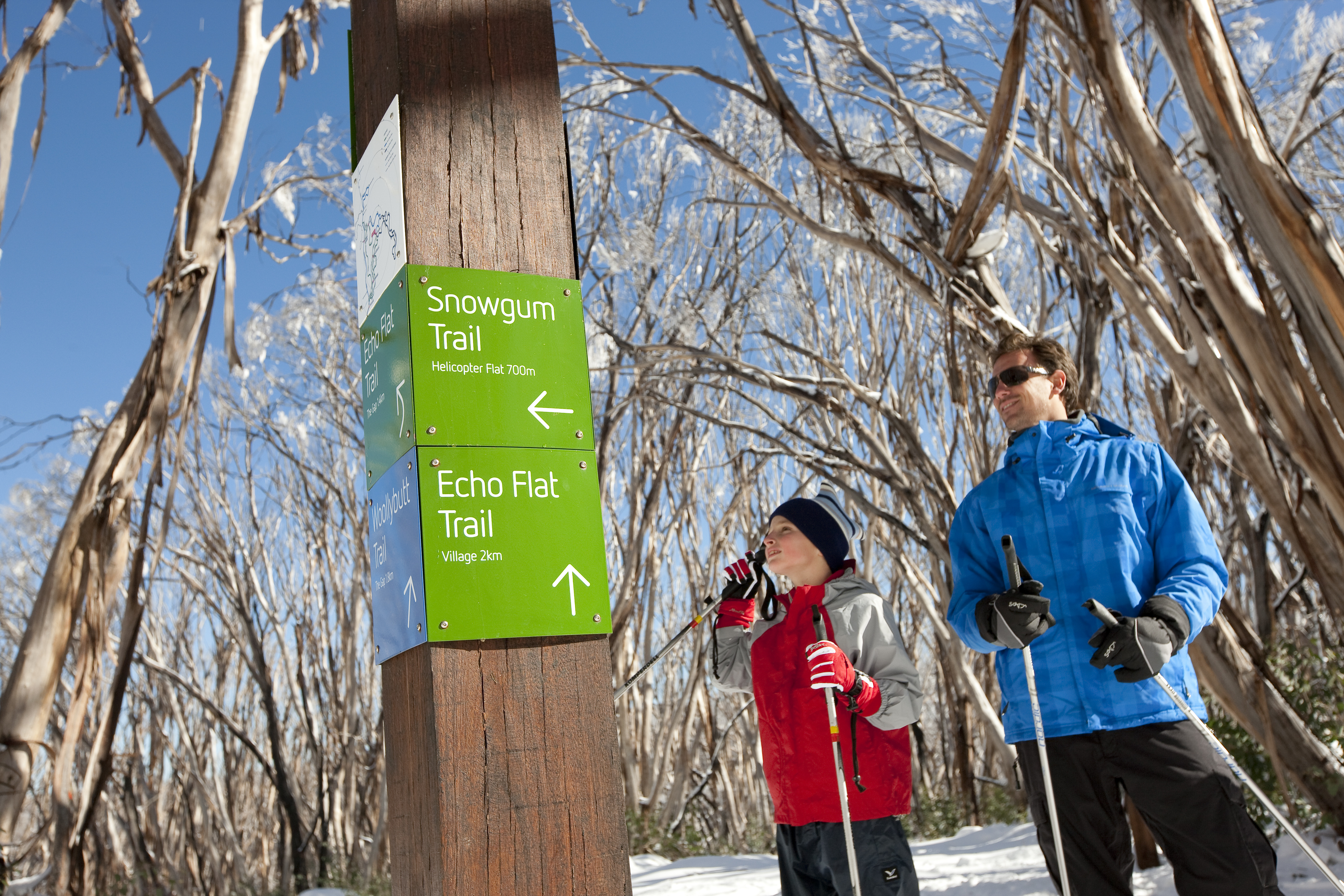  Lake Mountain Snow, Waterfalls & ChocolateTour | The Best Day Trip Tour for Families and First Timers