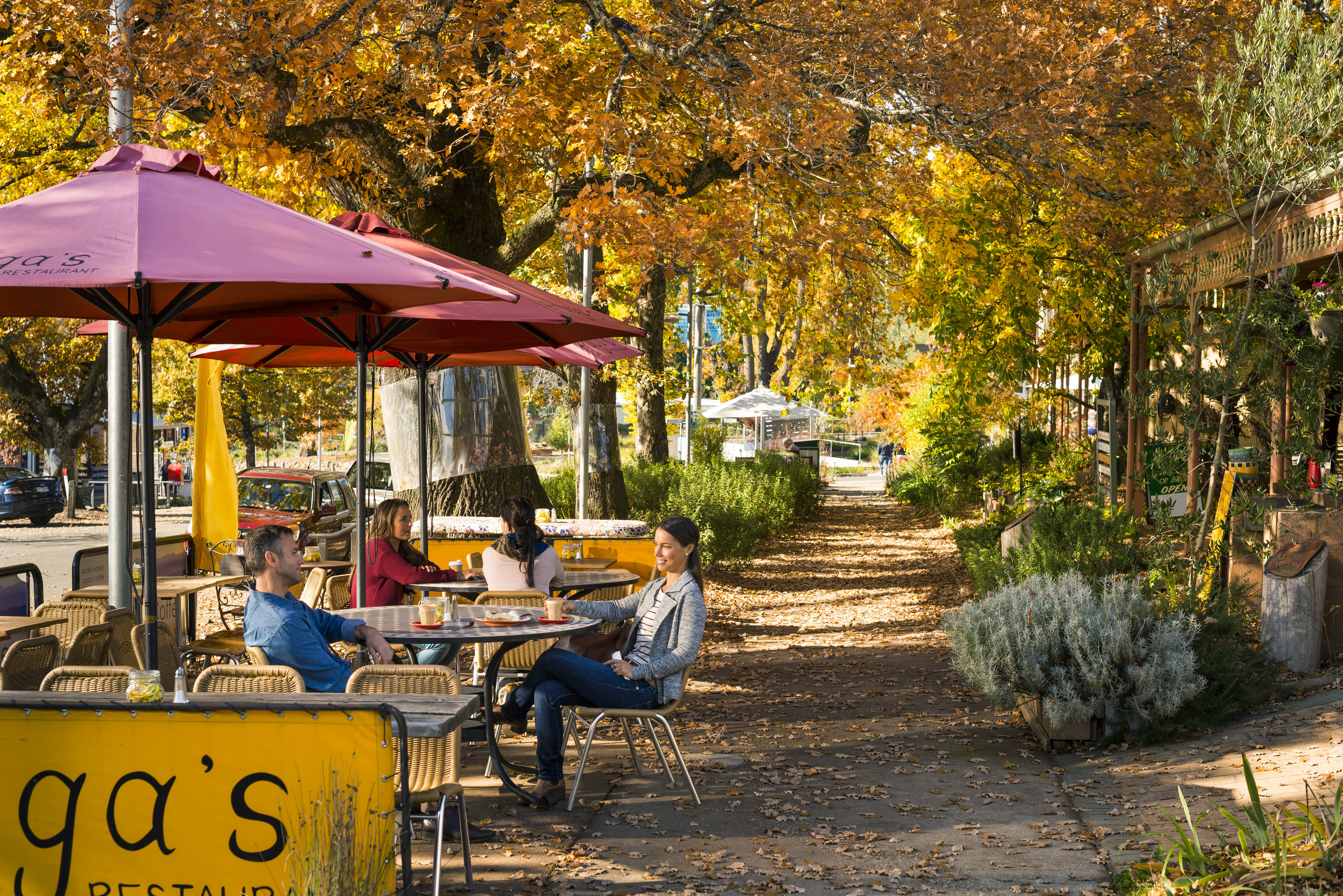  Lake Mountain Snow, Waterfalls & ChocolateTour | The Best Day Trip Tour for Families and First Timers