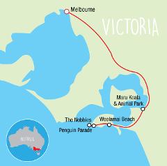 Wildlife Tours Australia: 1 Day Phillip Island Penguins Wildlife Tour (General Viewing)
