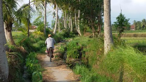 Ubud Eco Fun Orientation Half Day Cycling Tour