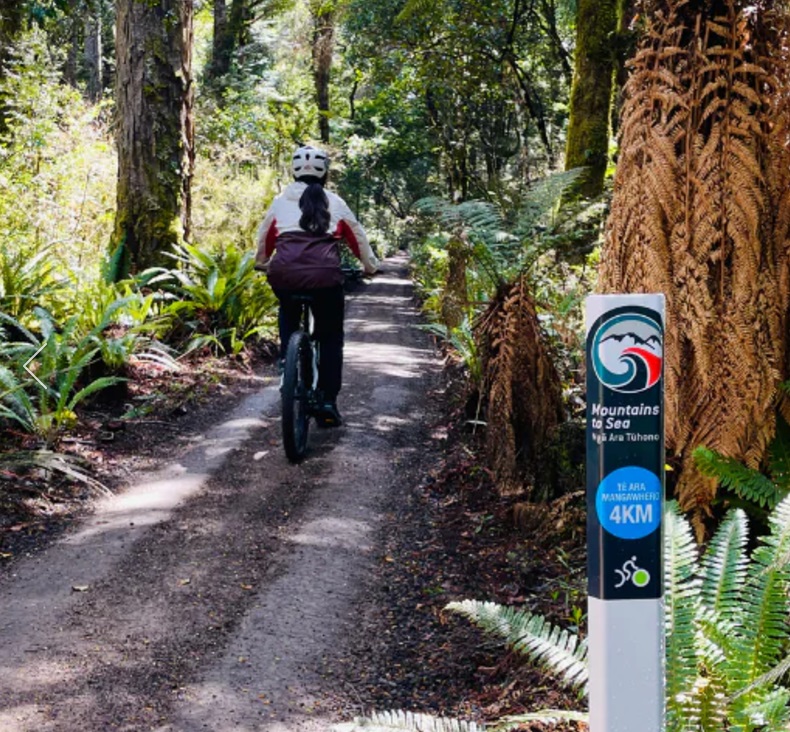 Te Ara Mangawhero Self Guided tour riding an E- Bike (Full suspension electric mountain bike).