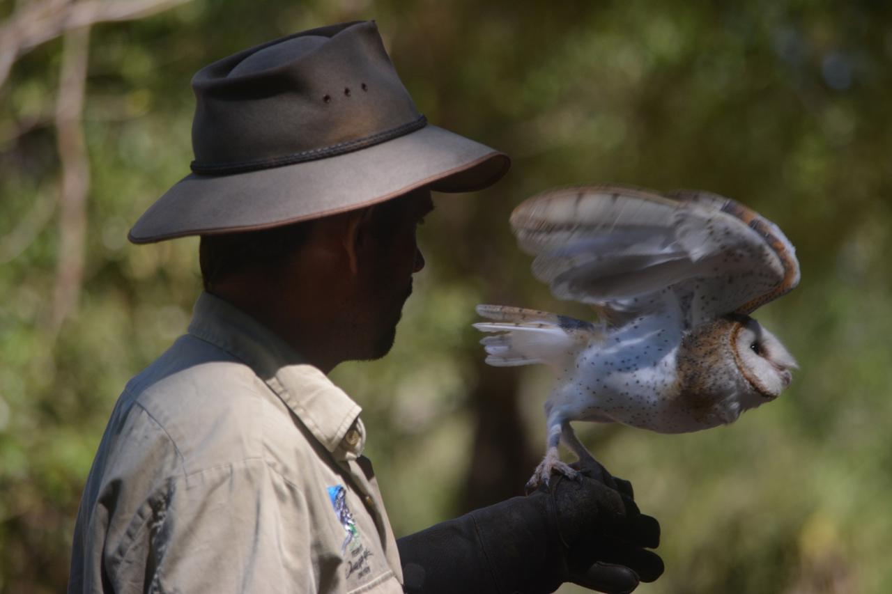 Wild Explorer - Berry Springs | Territory Wildlife Park | Greater Darwin