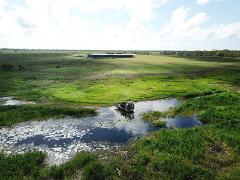 Birds, Buggies, Brunch & Airboats