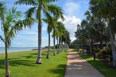 Darwin by Locals