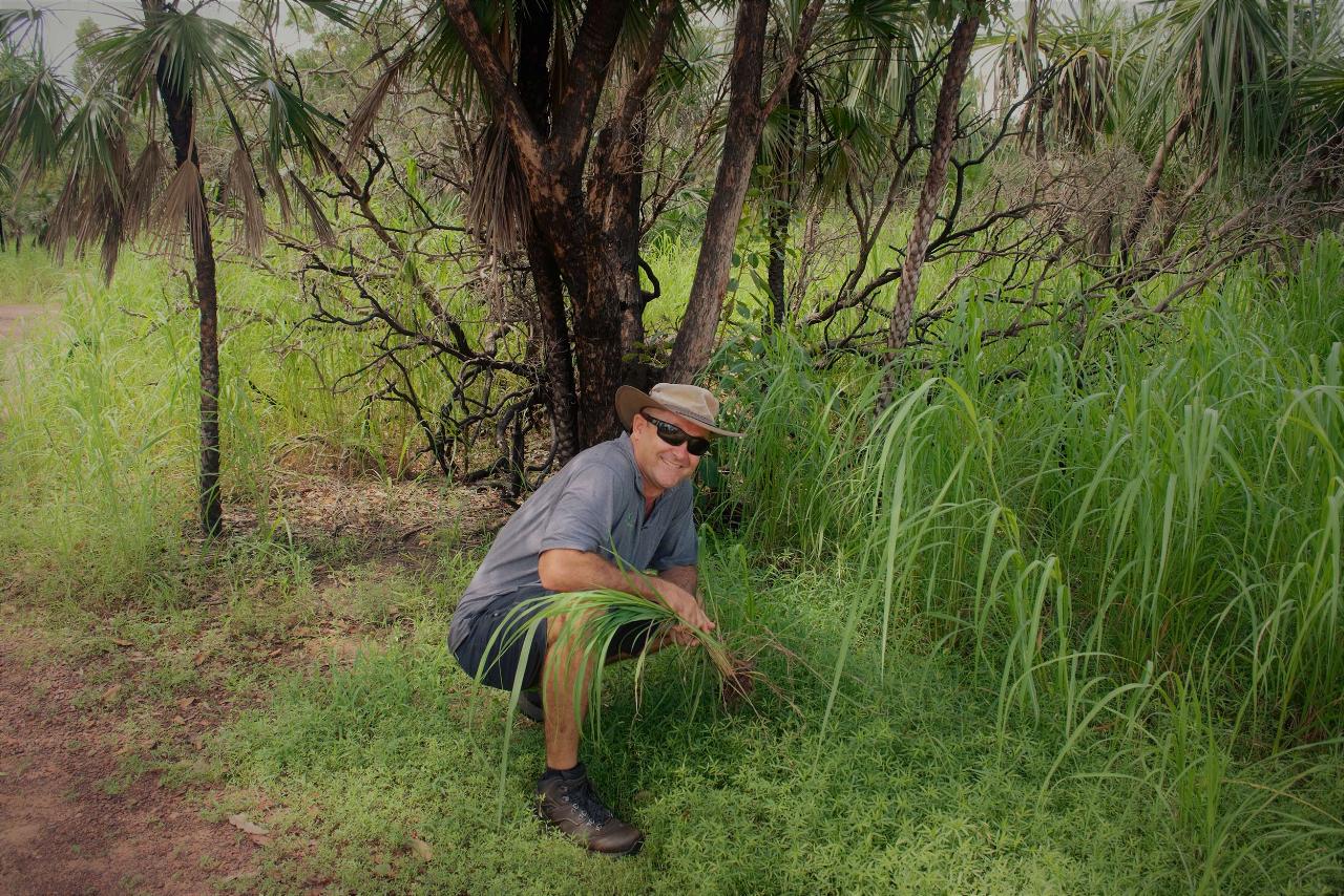 Environmental Project - 2 day Litchfield vegetation management