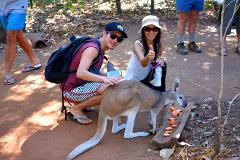 Cruise Ship PRIVATE Tour - Territory Wildlife Park tour with dedicated guide