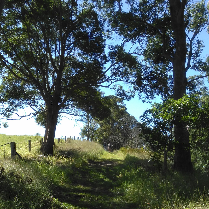 Bushwalkers' Adventure Half-Day Family Special