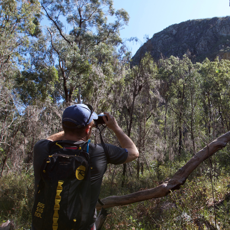 Wildlife & Birdwatching Experience - Full Day