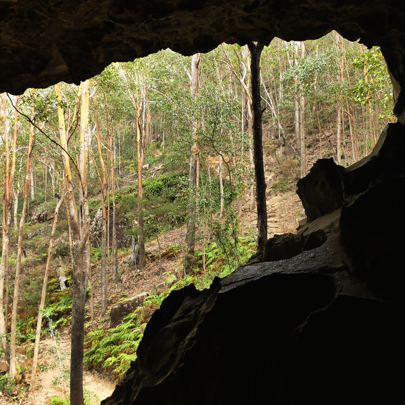 Wildlife & Birdwatching Experience - Half Day