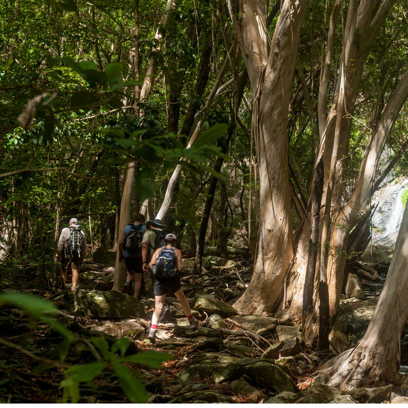 Bushwalkers' Adventure - Full Day