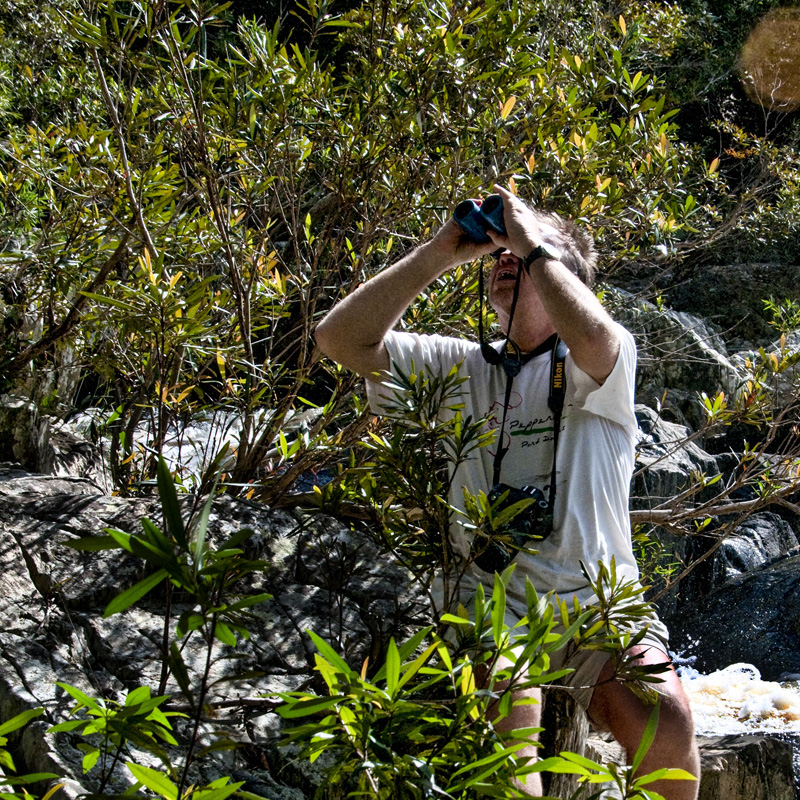 Wildlife & Birdwatching Experience - Full Day