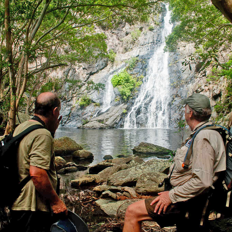 Wildlife & Birdwatching Experience - Half Day