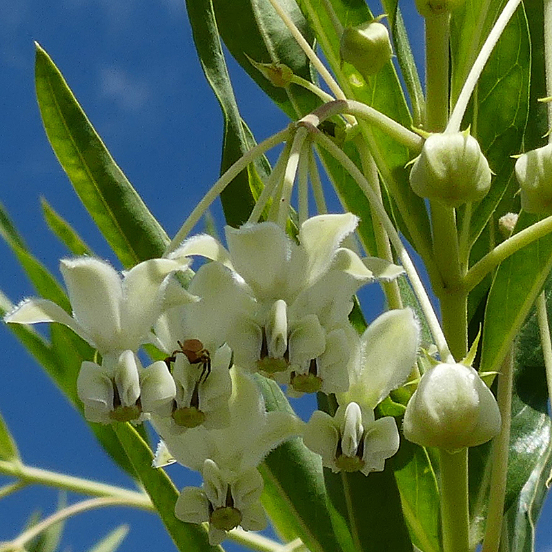 Wildlife & Birdwatching Experience - Full Day