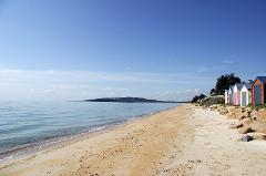 Guided Kayak Tour (Martha Cove, Safety Beach)