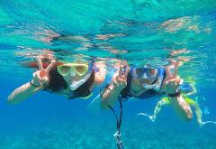 Snorkel Tour at Rye Pier  (School Holiday Special)