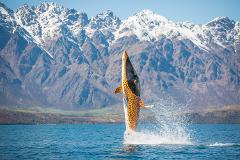 Hydro Attack Shark Ride Gift Card 