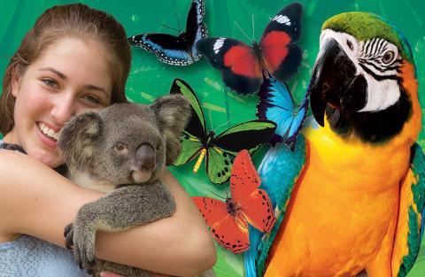 Visit Kuranda - 3 Park Pass Optional Extra