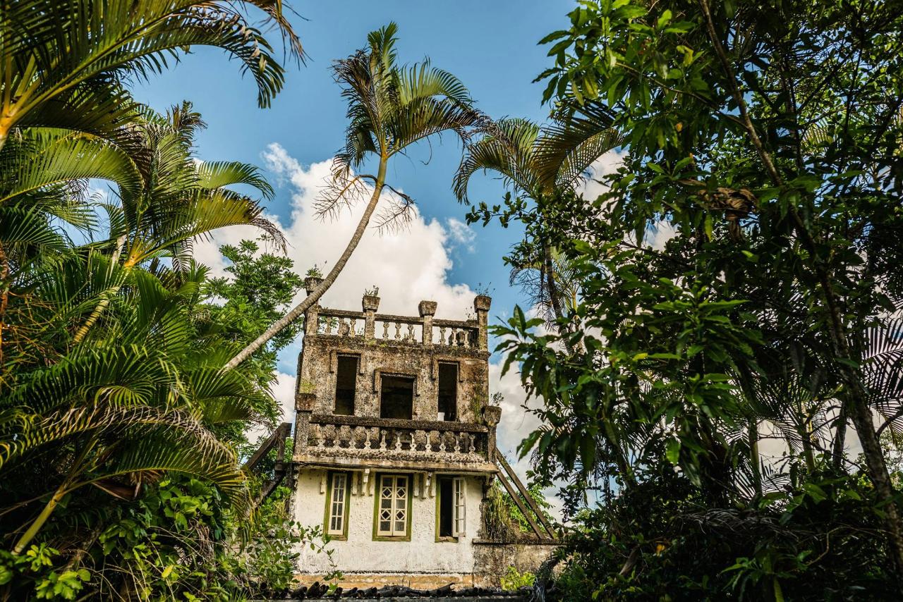 Day/Night Tour - NO DINNER (website booking)