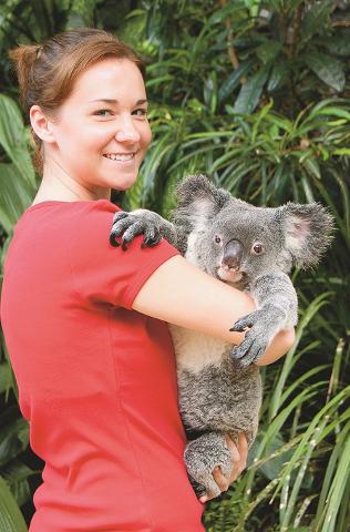 Visit Kuranda - Koala Gardens with Koala photo Optional Extra