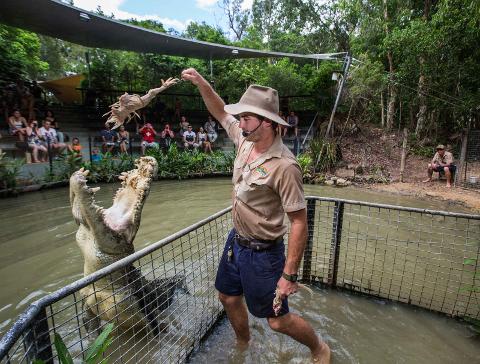 GTS: Kuranda by Train, Skyrail and Hartley's Crocodile Adventures