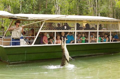 GTS: Full Day Hartley's Crocodile Adventures