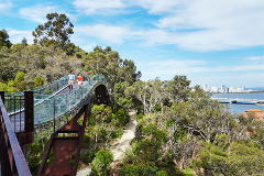 Perth & Kings Park Discovery Walk