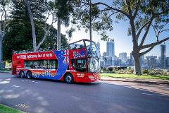 Perth AAA - ACCESS ALL AREAS: Walking Tour + Perth Explorer Bus Tour