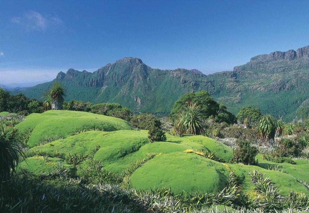 5 Tage Tasmanien für Genießer Westküste